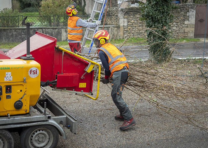 Allée de platane élagués par Roustan Elagage, Élagueurs à Chamaret, Montélimar et Orange