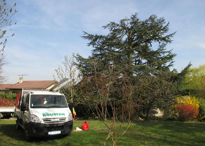 Camion de Roustan Elagage, Élagueurs à Chamaret, Montélimar et Orange