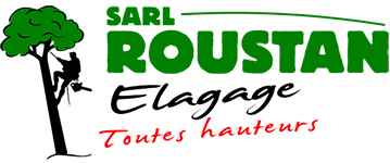 Logo de Roustan Élagage à Chamaret